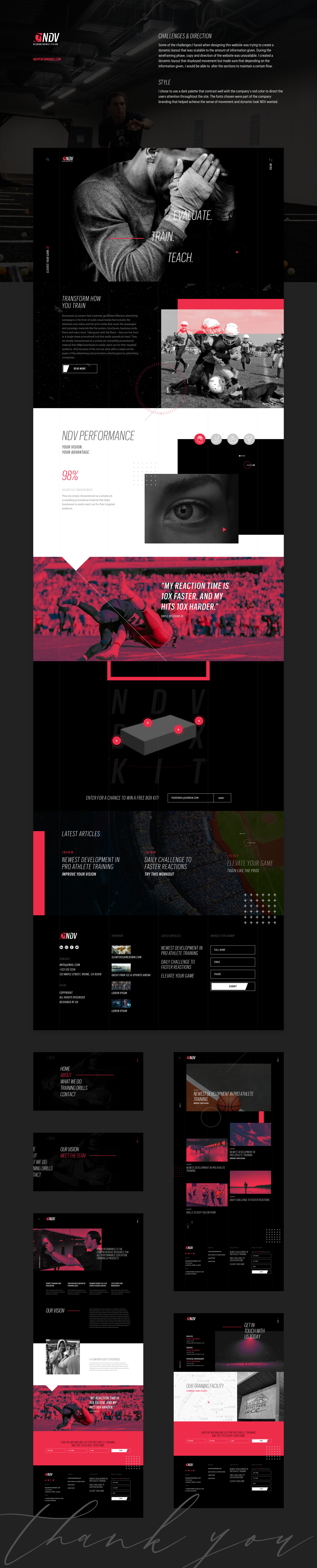 NDV Performance — final website design